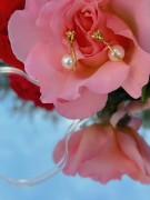 IMG_5672.jpg